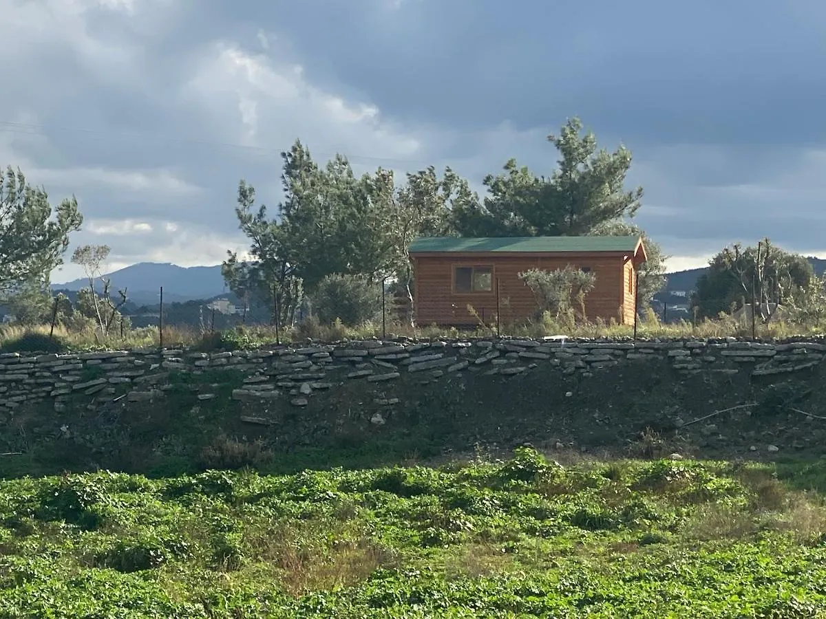 Tatil Evi Nefes URLA Bungalov Türkiye